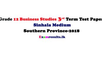 Grade-12-buisness-studies-third-term-test-paper-sinhala-medium-southern-province-2018-examresult-lk
