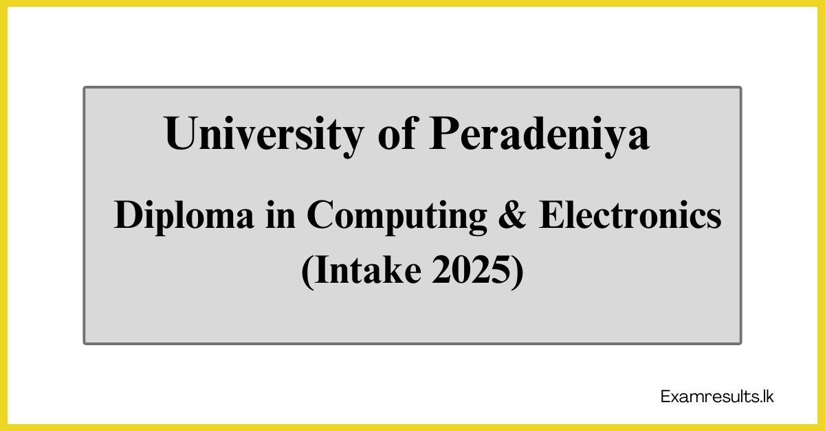 Diploma in Computing and Electronics (Intake 2025)