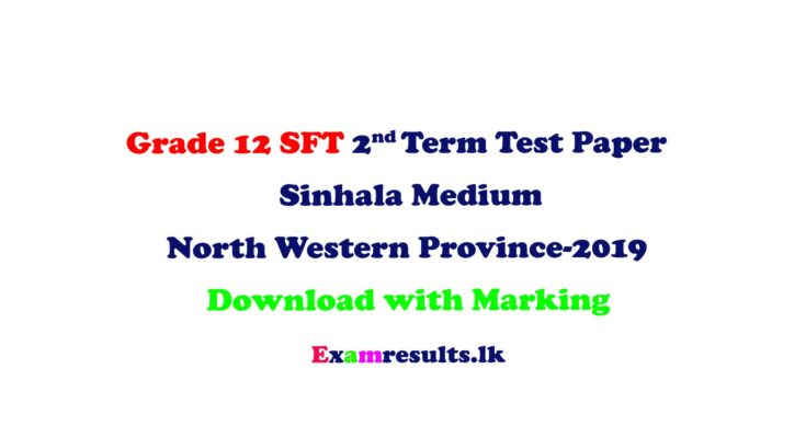 grade-12-sft-2nd-term-test-paper-sinhala-medium-north-western-province-2019-examresult-lk
