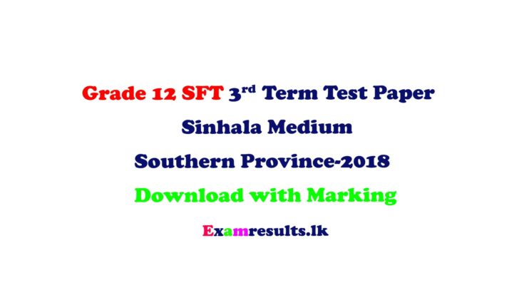 grade-12-sft-3rd-term-test-paper-sinhala-medium-southern-province-2018