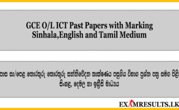 ol,ict,past,papers,sinhala,medium,english,2022